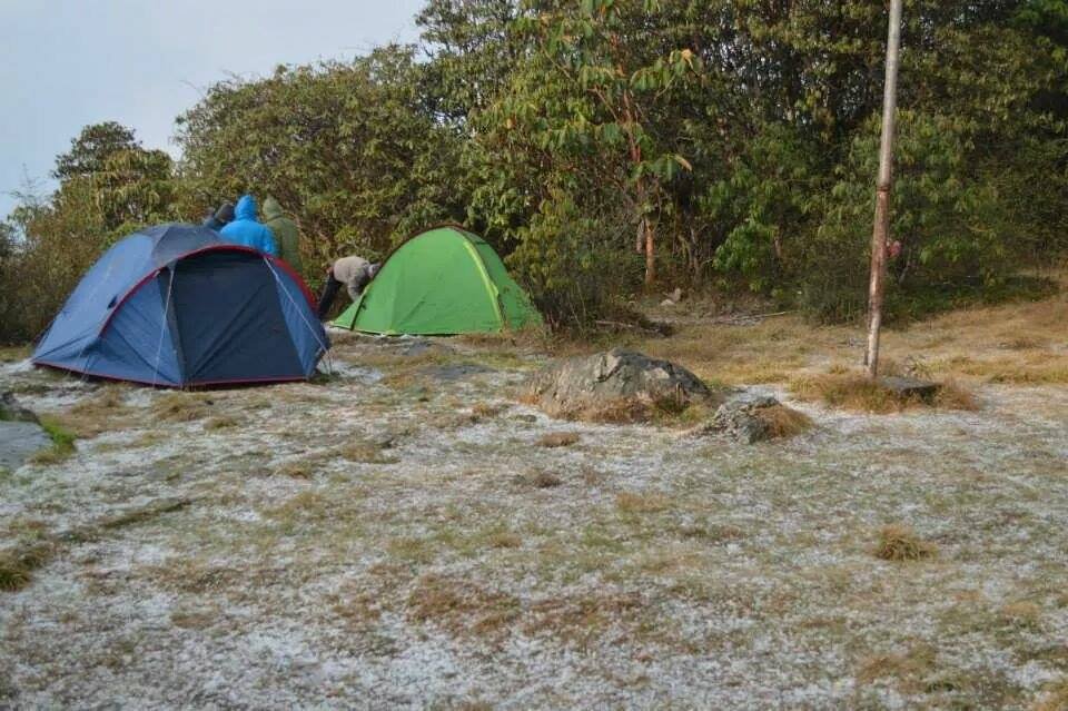 Barsey rhododendron trek